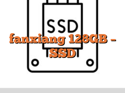 fanxiang 128GB - SSD