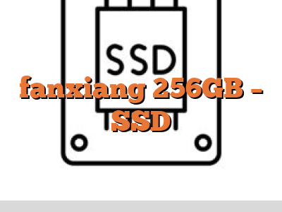 fanxiang 256GB - SSD